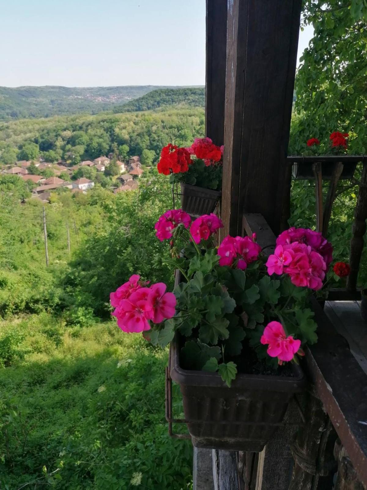 Appartamento Country House Pivnica Milic Rogljevo Esterno foto