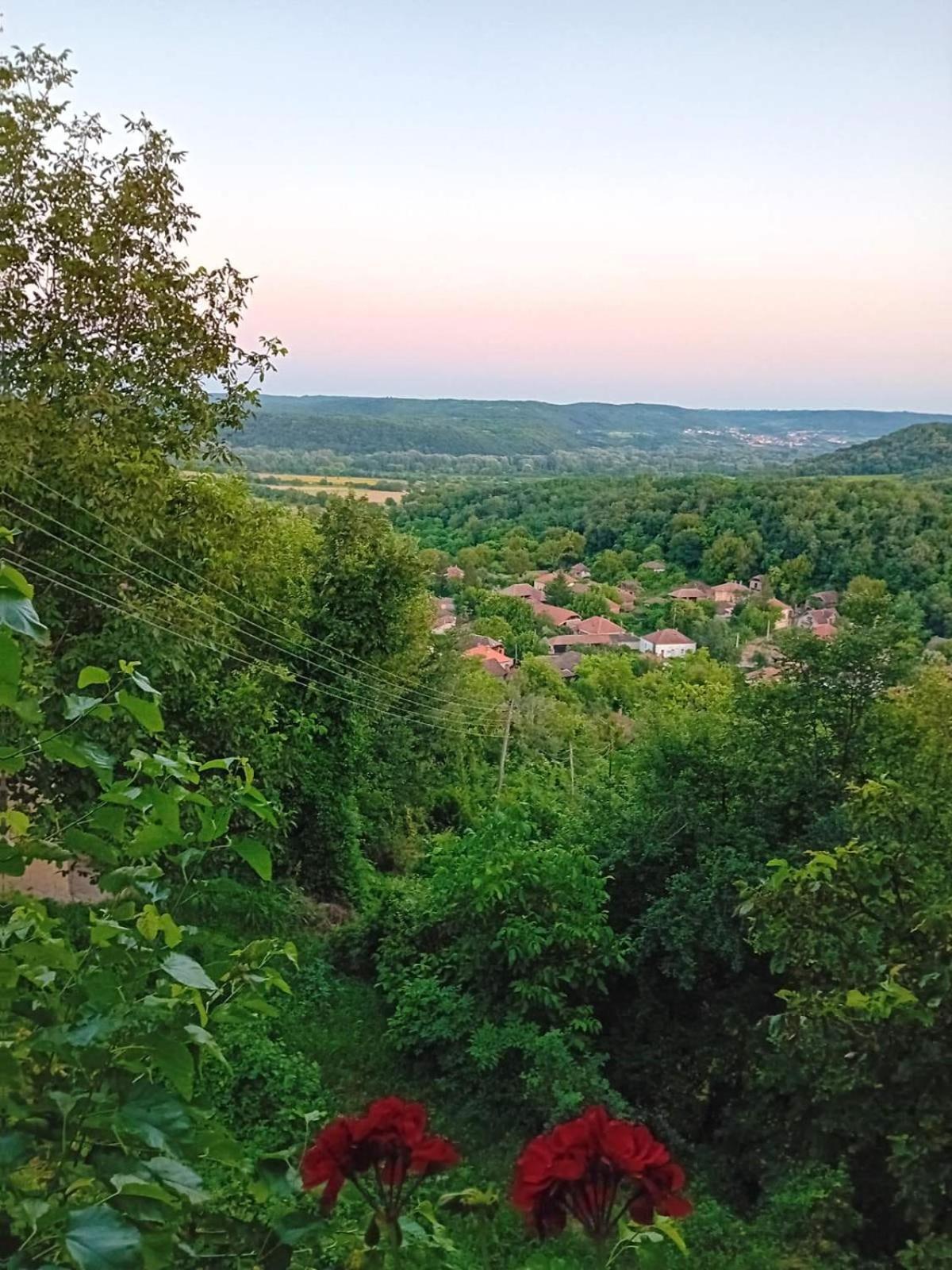 Appartamento Country House Pivnica Milic Rogljevo Esterno foto